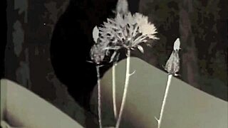 Винтажный табу альбом бабушка Фэнни и пасынок роман