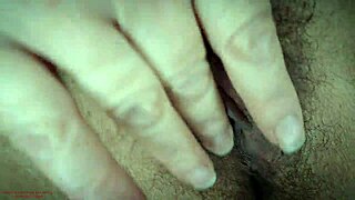 Arrête ! Branle-toi sur milf latina suçant la bite