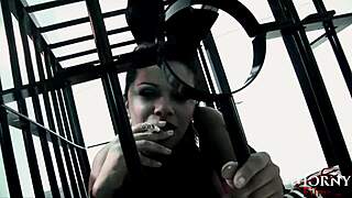 Hey, Mau Lihat Boobs Besar Blonde di Aksi FFM BDSM Panas?