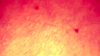 परिपक्व एशियन लेडी बीबीसी से मिलती है। वह वाइल्ड डॉगीस्टाइल के लिए झुकती है।