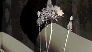 A Grandmother's Guide To The Swinging Sixties