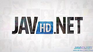 مجموعة ميلف آسيوية عالية الدقة الجزء 1