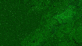 Twee wilde brunettes worden hitsig in openbare kleedkamer