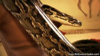 हेय, मेरी एक्सोटिक इंडियन हनी को सोलो टीज करते हुए देखना चाहोगे?