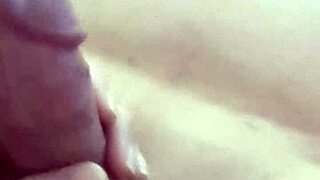 ดู Danielle Roy เล่นฟอร์เพลย์กับ Cody Roy ดูดควยและรูดควยขณะใส่ปลั๊กก้น!