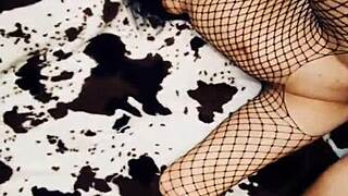 Hot Fuck With Milf Wife In Mesh Erotic Lingerie