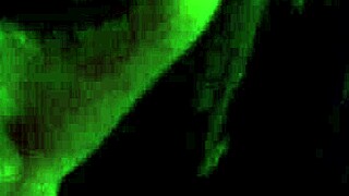 my milf neighbor shares intimate moments