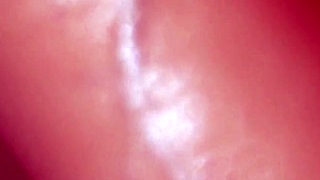 Japanese Step Mom Explores Son's Porn Taste Closely