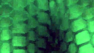 my big booty wife dancing and shaking her ass