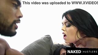 Stunning PAWGs with Huge Tits and Ass Share Long Dick in Miami