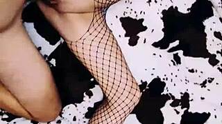 A wife in an erotic fishnet bodysuit beautifully spreads her legs