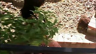 Fucking that slutty brunette slave 😈