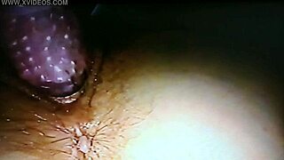 Why is the blindfolded mature wife bound and fucked with a rabbit toy at home?