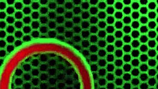 Sara Jay and Austin Taylor dive into wet pussy action