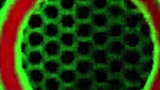 Miles Long scores double bj with sizi sev in hot action