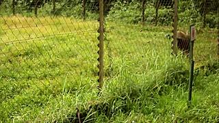 These two tourists in the park discover unexplored places?