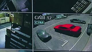 why did nina hartley hire that young stud? for hardcore fucking in every position