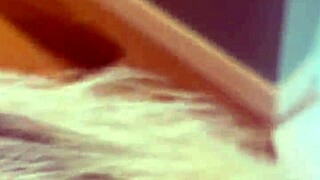 Latest Alineflavio Update 95 Featuring Vid 20240705 175745 447 MP4 From July 06 2024