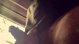 Outdoor Asian Student Faces Wild British Domination