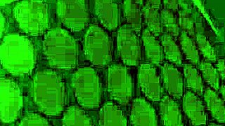 i got deepthroat from milf with monster cock at the triangle club