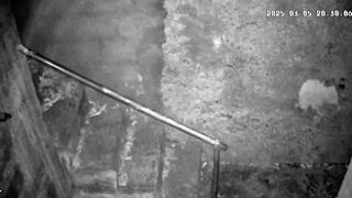 Hidden Camera Catches Stepmom Fucking Stepson With Big Natural Tits