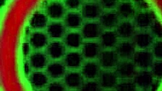 Oily milf Sara Jay twerking big ass with dildo for orgasm