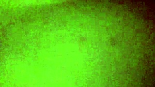 Steve And Girlfriend Verif Clip