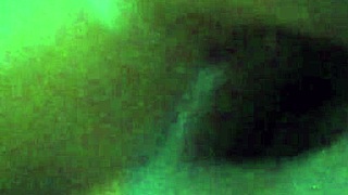 Steve And Girlfriend Verif Clip