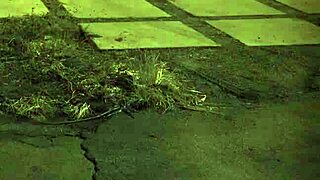 Outdoor BDSM Domination With Milf And Teen