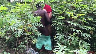 In Nigeria, farmers are seriously fucking and moaning loudly.