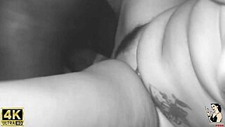 Pele VIP and Chayenhy Get Neighbor Married in Trailer