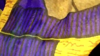 Ex Girlfriend Blowjob