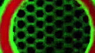 glass dildo inside her lusty brunette jelena jensen gets off