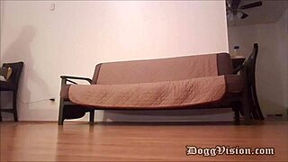 Pizza man delivers bareback creampie to big butt cougar milf