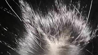 Ashira’s beauty pussy makes me explode hard