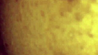 i shared a close moment with mrs. lala in the bedroom