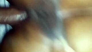 Chocolate Booty Gets Shaking Up