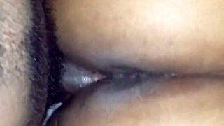 Chocolate Booty Gets Shaking Up