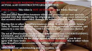 Inked Brunette Hottie Shelly Sucks Cock for Twat and Butt Drilling