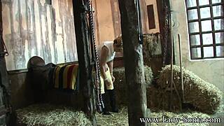 Lady Sonia Acts As Peeping Tom At Stables