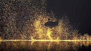 Redhead Shaved Lesbian And Brunette Lesbian. Lick, Suck, Finger, Kiss, Share Hard Cock.