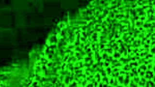 willow the milf experiences her first black breeding in this exclusive