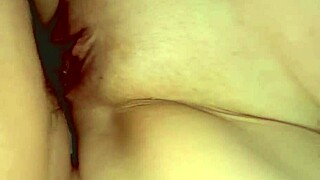 Amateur shaved pussy explored close up after 163 days