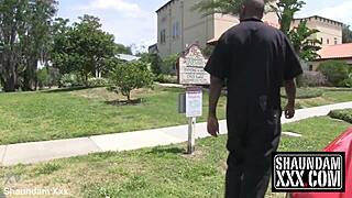 Sally Deangelo Gets Gators