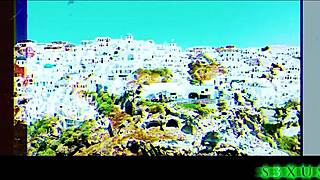 bunny madison begs for creampie from brad newman