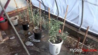 Pov Outdoor Fuck With Mature Daughter Tali Dova