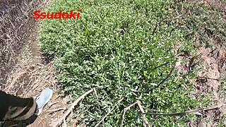 Sex in the middle of the field for risky public fun