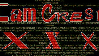 Nadia Adores Caressing Massive Cock in Intimate POV Handjob