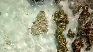 Pornovatas mulatita cachonda follando como loca el pollon de Victor Bloom