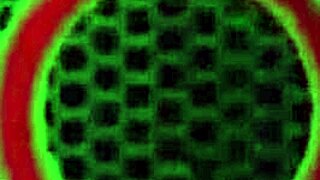 Bubble ass Ashley Fires in stockings takes sperm from Rome Major